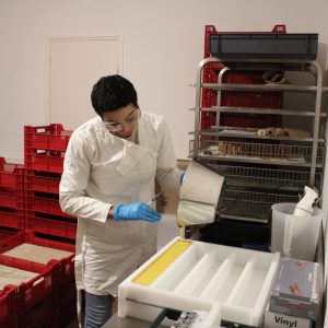 Bac Pro CGEA - Fabrication Cosmétiques artisanaux Bio