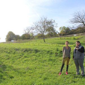 Bac Pro CGEA - PPAM Phytothérapie, production de plantes médicinales et des tisanes Bio
