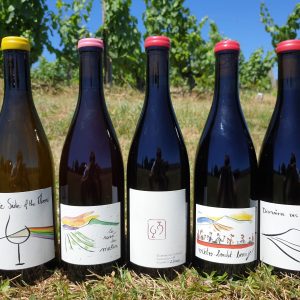 photo-2-vin-30_03_21 Vigneron en biodynamie - Module-III : La vendange et les travaux en verte